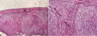 Fig 3: