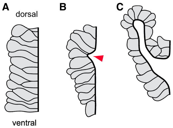 Fig. 8