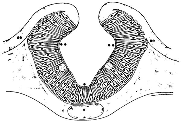 Fig. 10