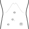 Fig. 1