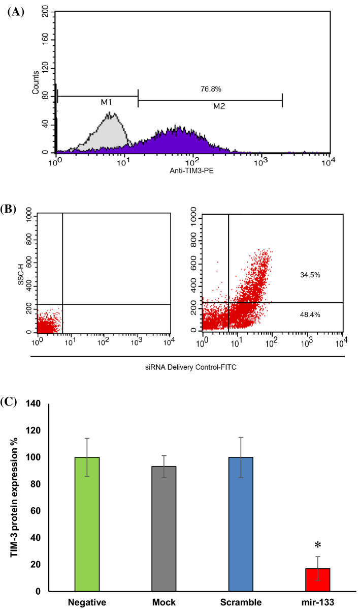 Fig. 3