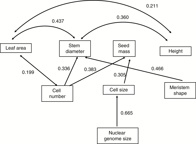 Fig. 8.