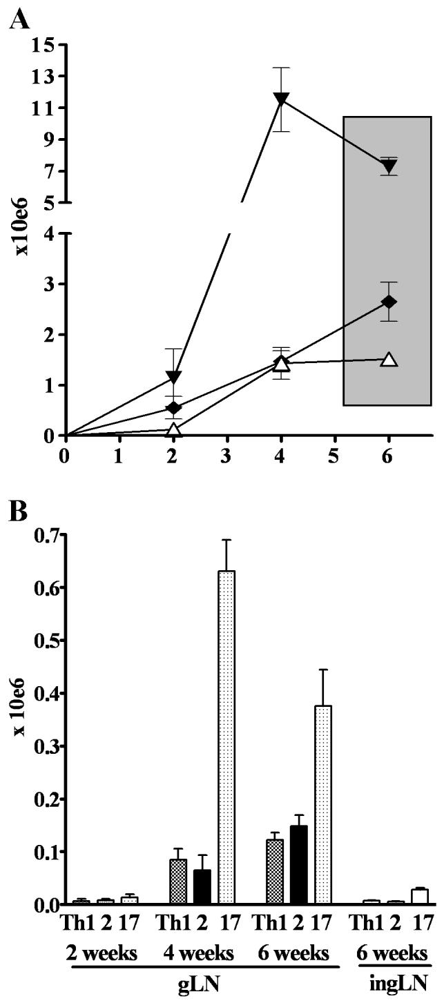 FIGURE 3