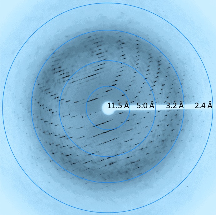 Figure 2