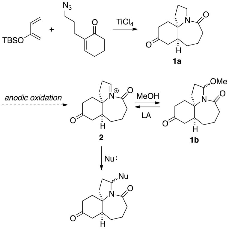 Scheme 1