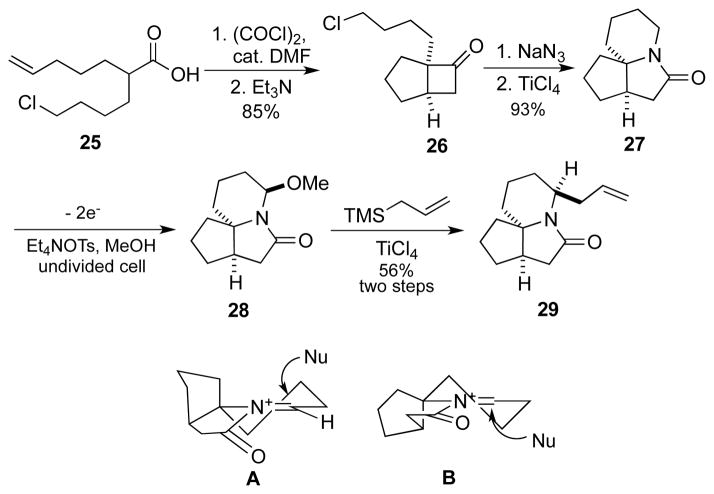 Scheme 4