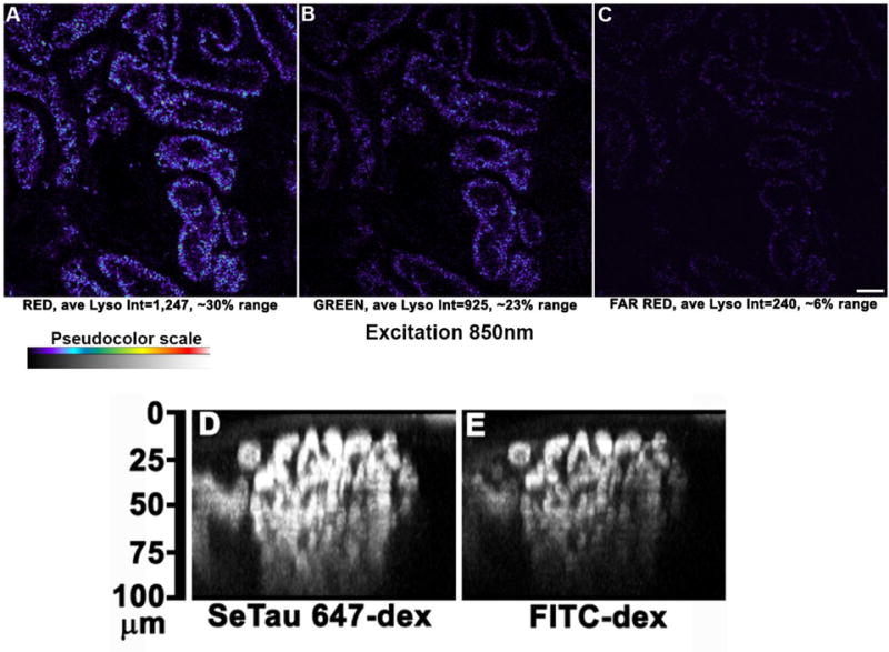 Figure 10