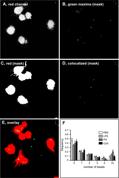 FIG. 2.