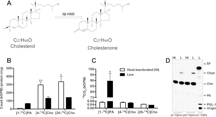 FIG 1