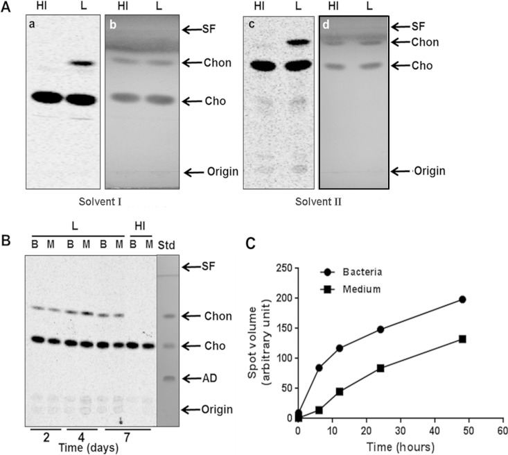 FIG 2