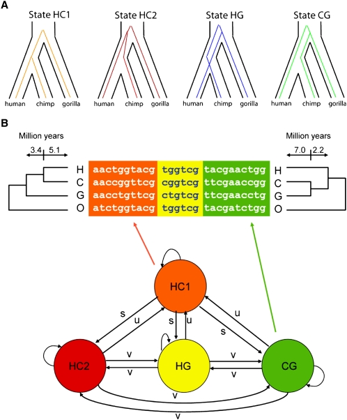 Figure 7.