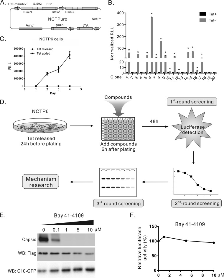 FIG 3