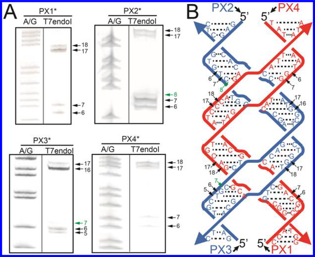 Figure 4.