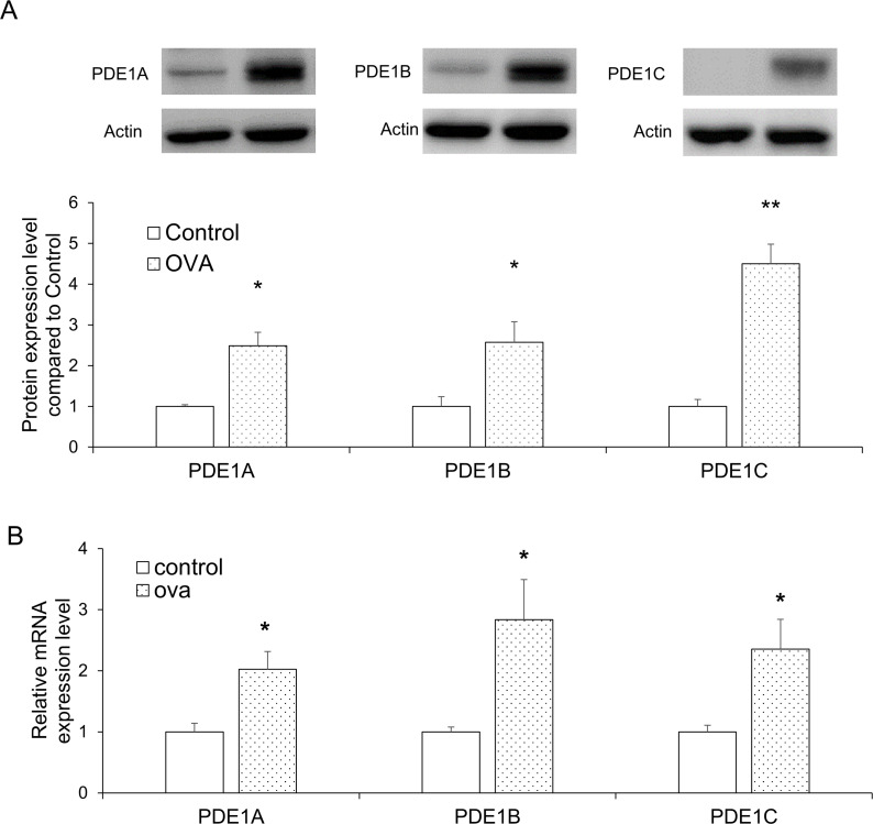 Fig 5