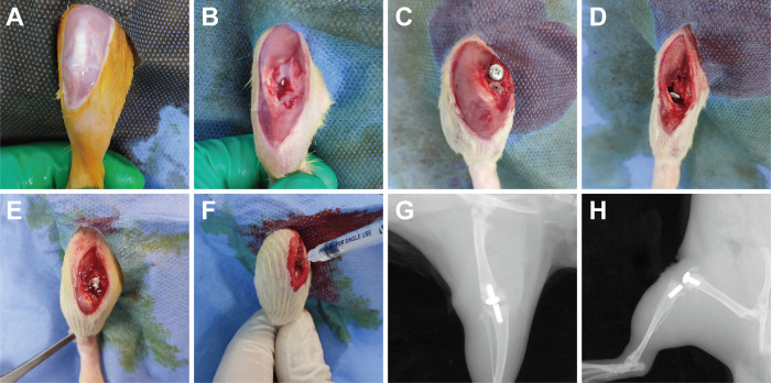 FIG 6