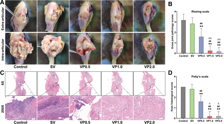 FIG 3