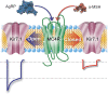 Figure 6.