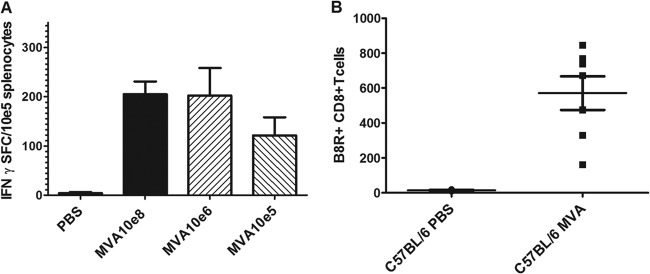 FIG 1