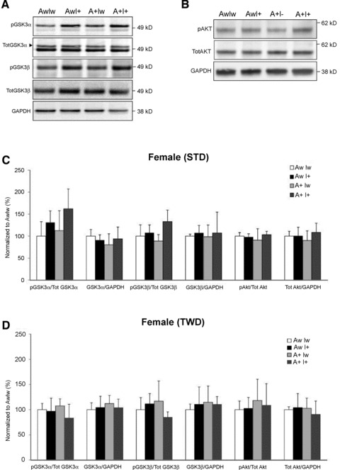 Fig 9