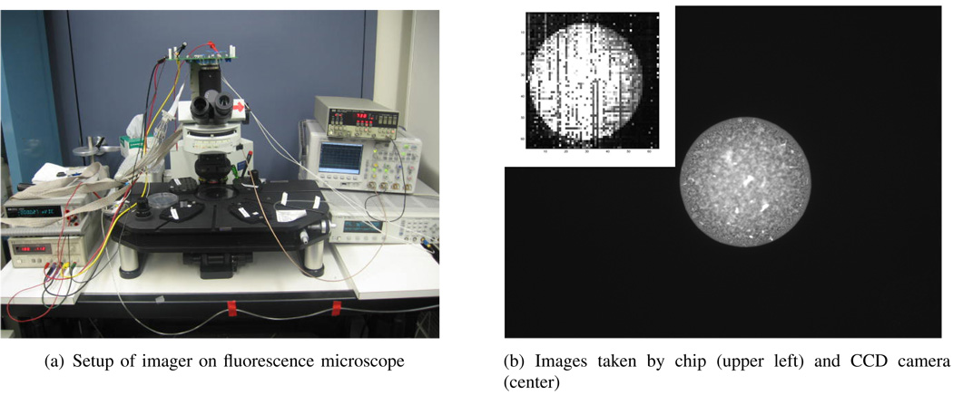 Fig. 12