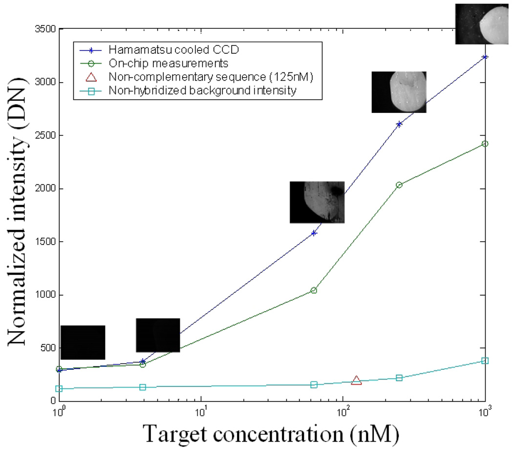 Fig. 11