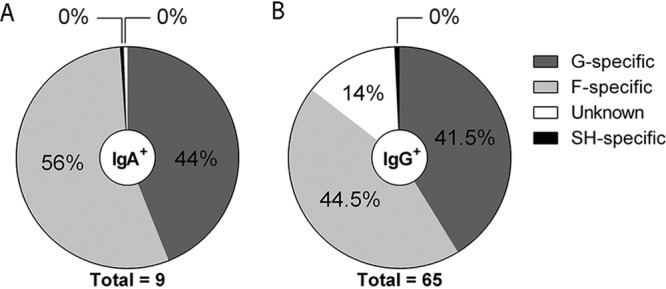 FIG 1