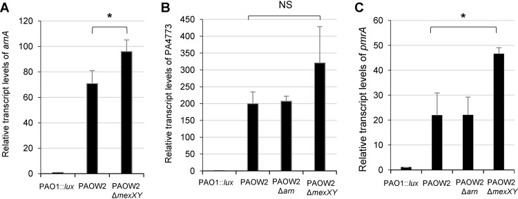 FIG 4