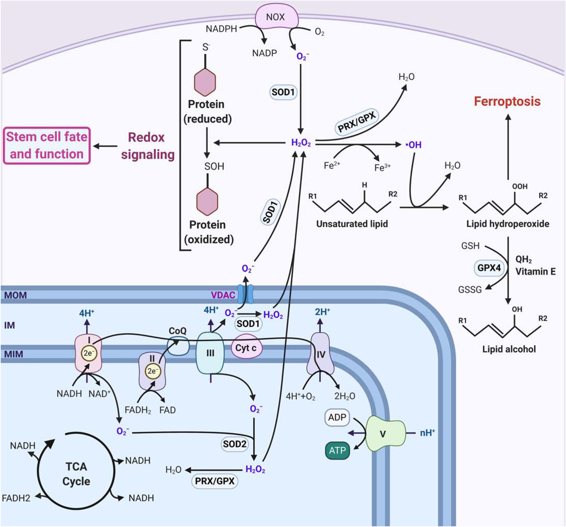 Figure 3: