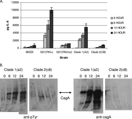 FIG. 4.