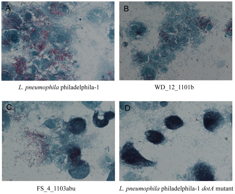 Figure 6