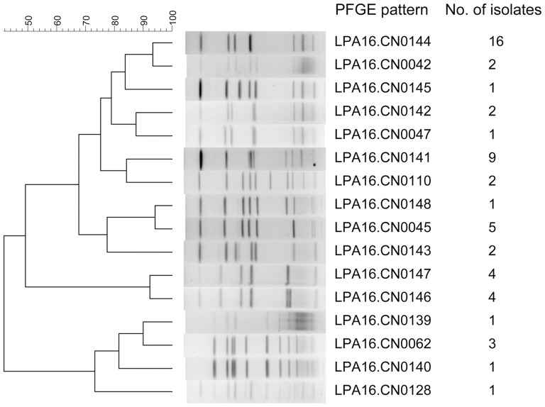 Figure 4