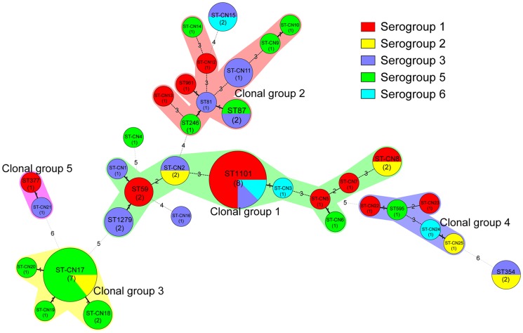 Figure 5