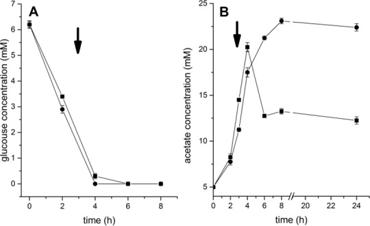 Fig 5