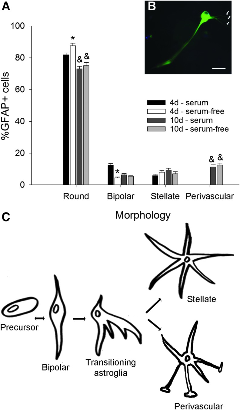 FIG. 5.