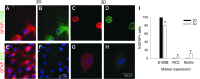 <b>FIG. 6.</b>