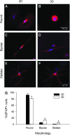 <b>FIG. 2.</b>