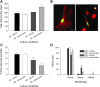 <b>FIG. 4.</b>