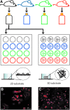 <b>FIG. 1.</b>