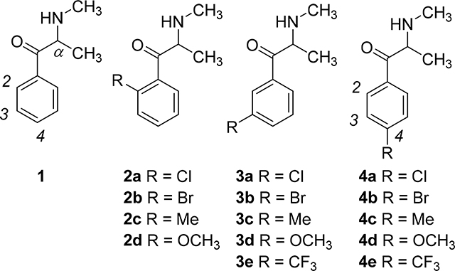 graphic file with name nihms-1717379-f0003.jpg