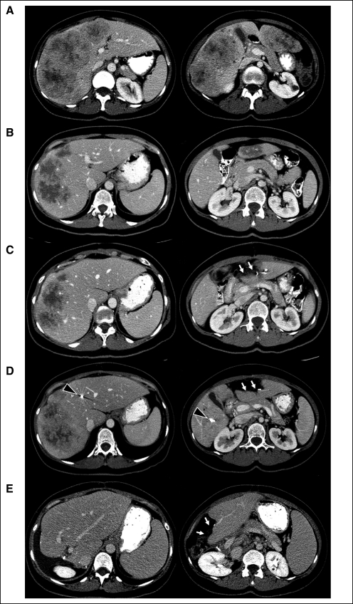 Fig 1.