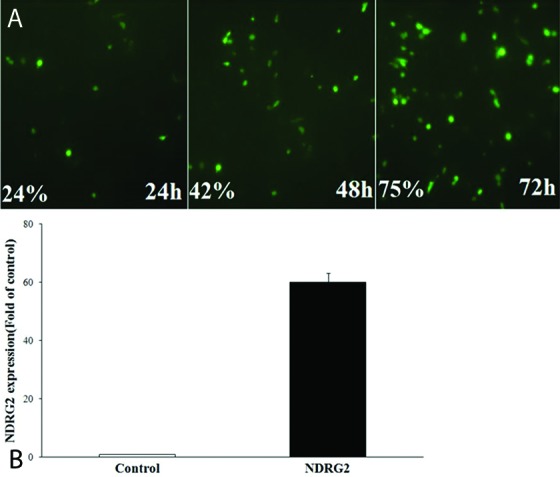 Figure1