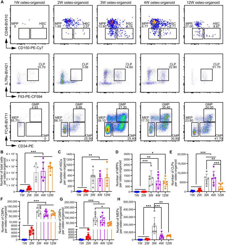 Fig. 2.