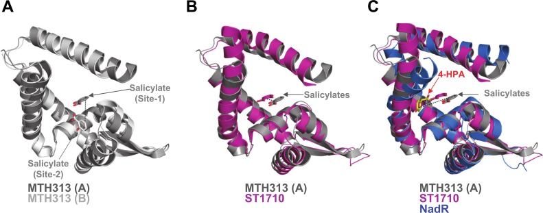 Fig 10