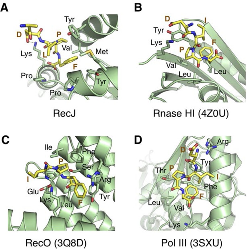 Figure 6—figure supplement 2.