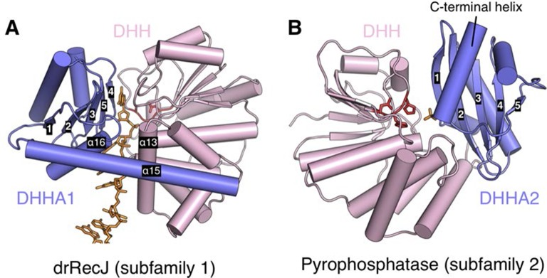 Figure 2—figure supplement 3.