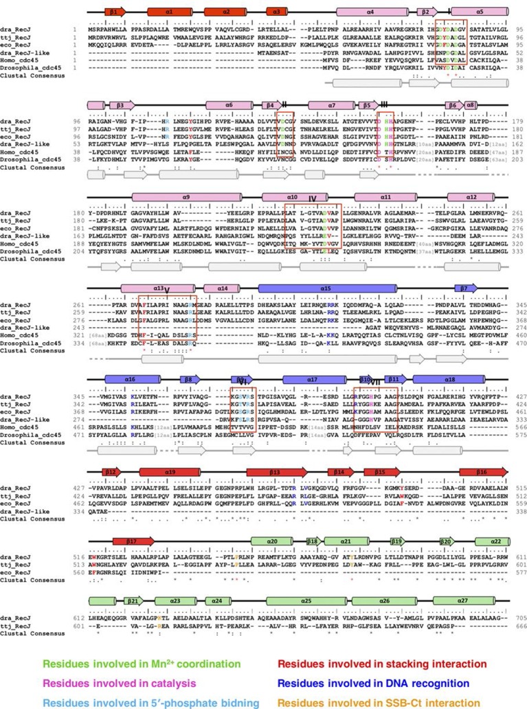 Figure 1—figure supplement 1.