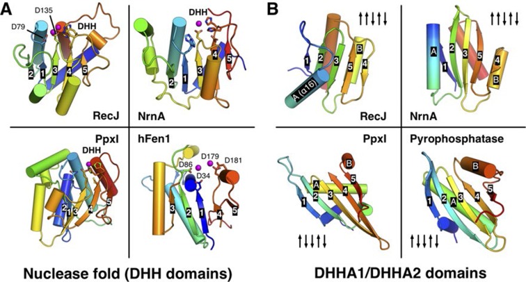 Figure 2—figure supplement 2.