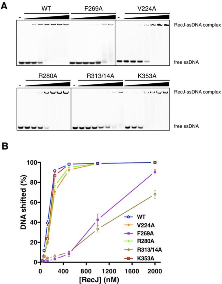 Figure 3—figure supplement 2.