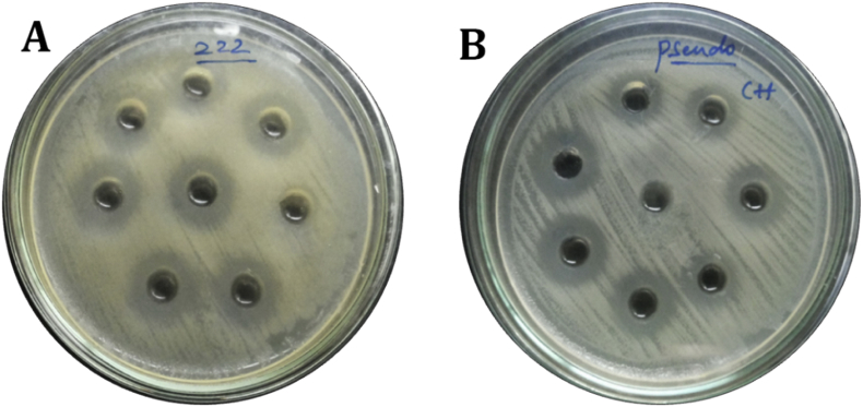 Fig. 8