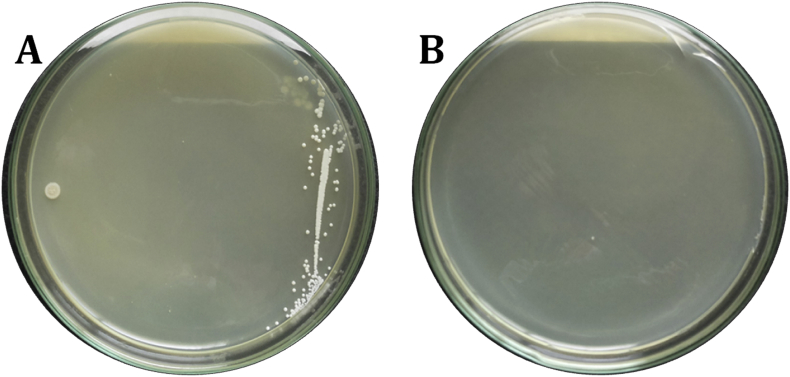 Fig. 11